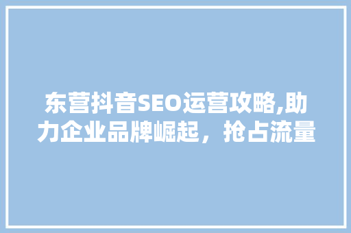 东营抖音SEO运营攻略,助力企业品牌崛起，抢占流量高地