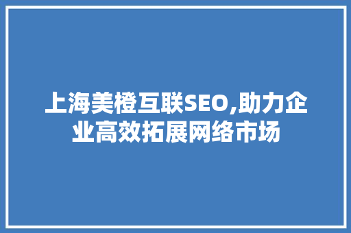 上海美橙互联SEO,助力企业高效拓展网络市场