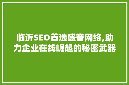 临沂SEO首选盛誉网络,助力企业在线崛起的秘密武器