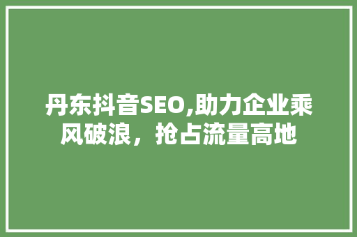 丹东抖音SEO,助力企业乘风破浪，抢占流量高地