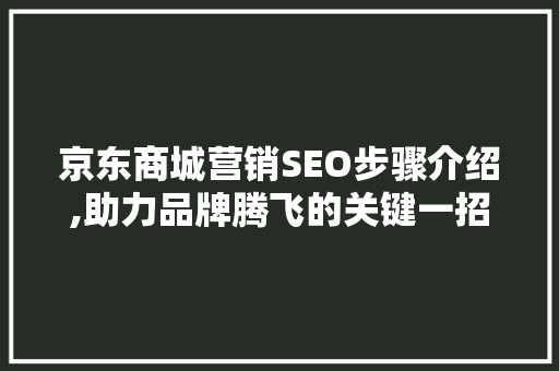 京东商城营销SEO步骤介绍,助力品牌腾飞的关键一招