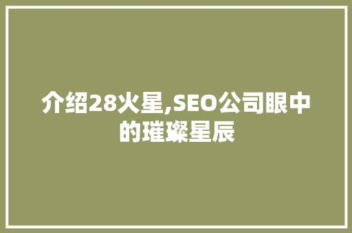 介绍28火星,SEO公司眼中的璀璨星辰