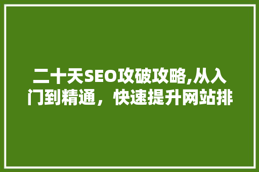 二十天SEO攻破攻略,从入门到精通，快速提升网站排名