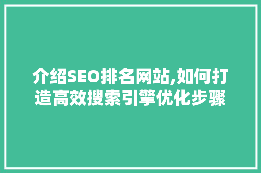 介绍SEO排名网站,如何打造高效搜索引擎优化步骤