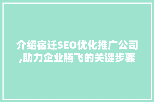 介绍宿迁SEO优化推广公司,助力企业腾飞的关键步骤