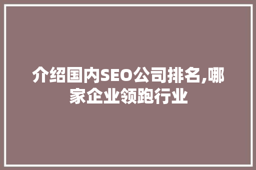 介绍国内SEO公司排名,哪家企业领跑行业