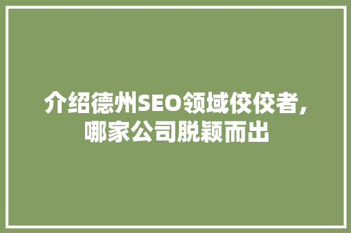 介绍德州SEO领域佼佼者,哪家公司脱颖而出