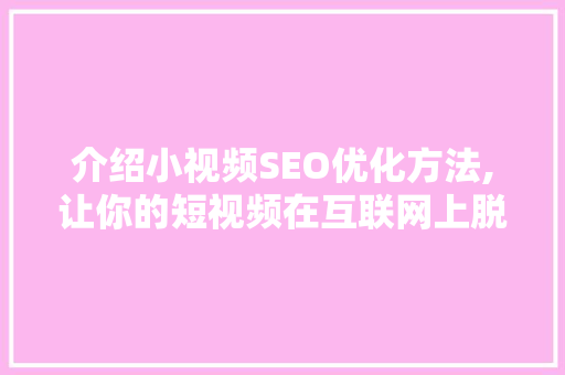 介绍小视频SEO优化方法,让你的短视频在互联网上脱颖而出