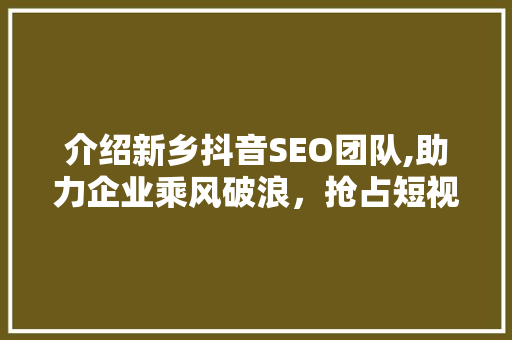 介绍新乡抖音SEO团队,助力企业乘风破浪，抢占短视频营销新高地