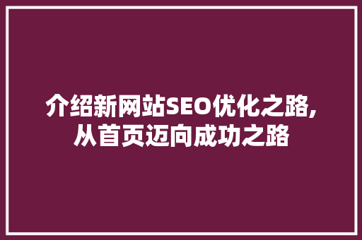 介绍新网站SEO优化之路,从首页迈向成功之路