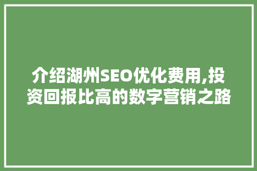 介绍湖州SEO优化费用,投资回报比高的数字营销之路