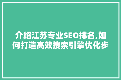 介绍江苏专业SEO排名,如何打造高效搜索引擎优化步骤