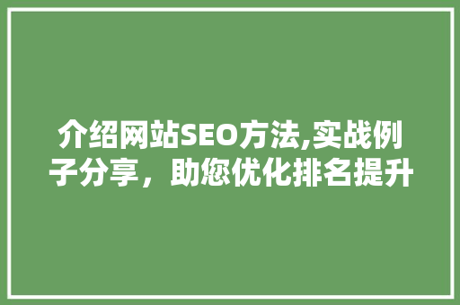 介绍网站SEO方法,实战例子分享，助您优化排名提升流量
