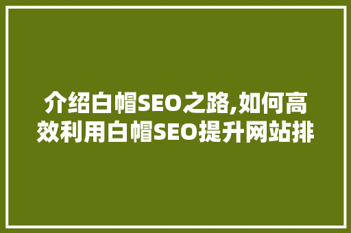 介绍白帽SEO之路,如何高效利用白帽SEO提升网站排名