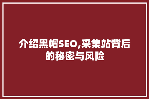 介绍黑帽SEO,采集站背后的秘密与风险