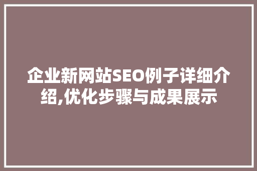 企业新网站SEO例子详细介绍,优化步骤与成果展示