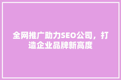 全网推广助力SEO公司，打造企业品牌新高度