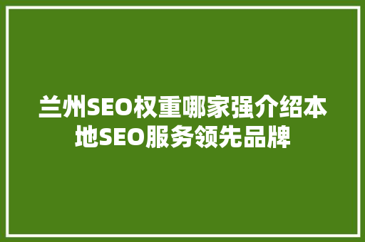 兰州SEO权重哪家强介绍本地SEO服务领先品牌