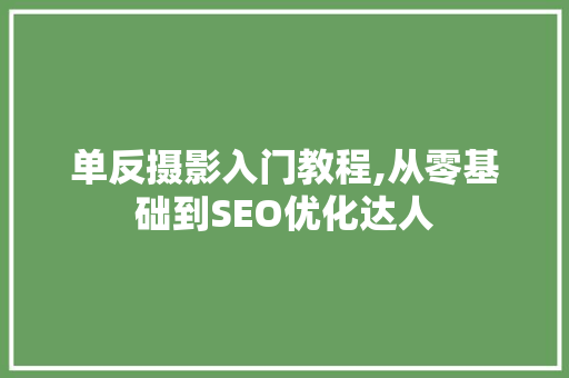 单反摄影入门教程,从零基础到SEO优化达人