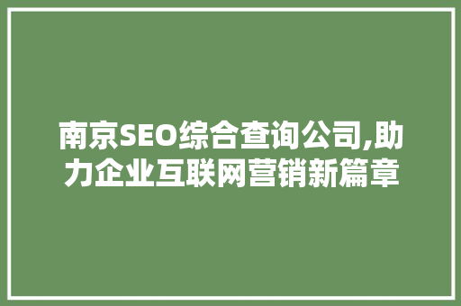 南京SEO综合查询公司,助力企业互联网营销新篇章