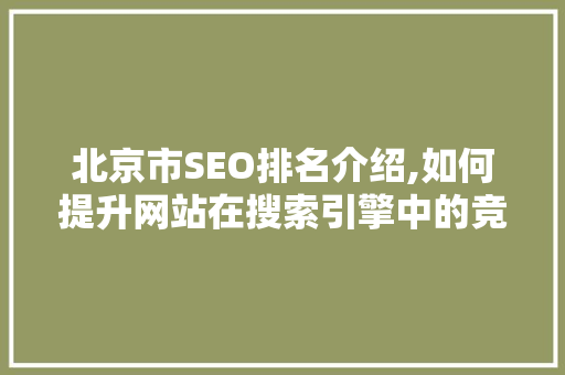 北京市SEO排名介绍,如何提升网站在搜索引擎中的竞争力