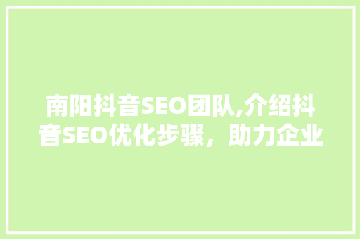南阳抖音SEO团队,介绍抖音SEO优化步骤，助力企业品牌腾飞