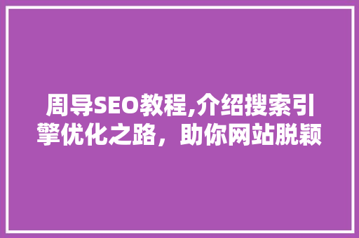 周导SEO教程,介绍搜索引擎优化之路，助你网站脱颖而出