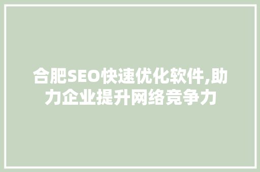 合肥SEO快速优化软件,助力企业提升网络竞争力