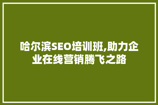 哈尔滨SEO培训班,助力企业在线营销腾飞之路