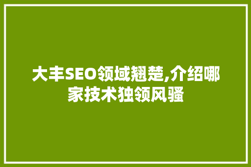 大丰SEO领域翘楚,介绍哪家技术独领风骚