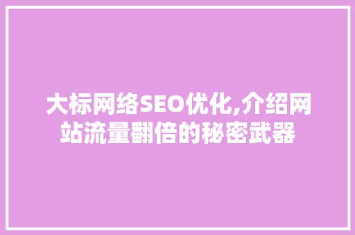 大标网络SEO优化,介绍网站流量翻倍的秘密武器