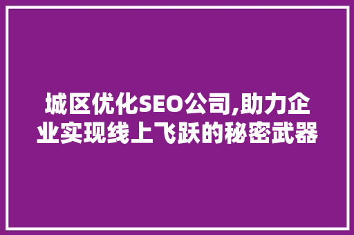 城区优化SEO公司,助力企业实现线上飞跃的秘密武器