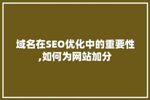 域名在SEO优化中的重要性,如何为网站加分