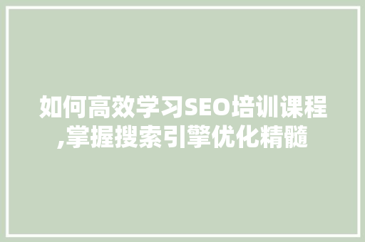 如何高效学习SEO培训课程,掌握搜索引擎优化精髓