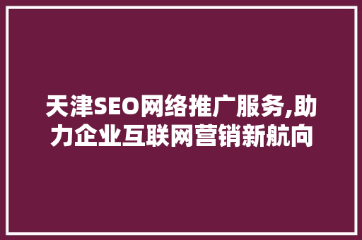 天津SEO网络推广服务,助力企业互联网营销新航向