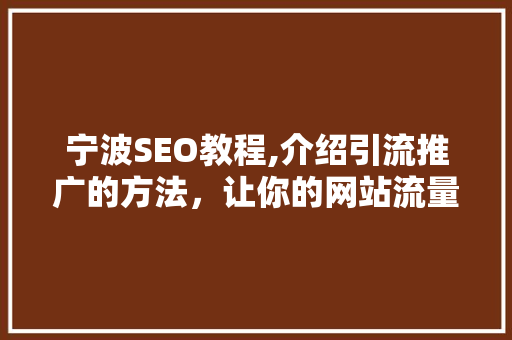 宁波SEO教程,介绍引流推广的方法，让你的网站流量飙升！
