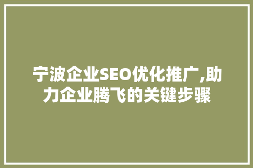 宁波企业SEO优化推广,助力企业腾飞的关键步骤