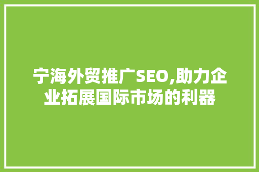 宁海外贸推广SEO,助力企业拓展国际市场的利器