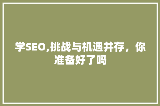 学SEO,挑战与机遇并存，你准备好了吗
