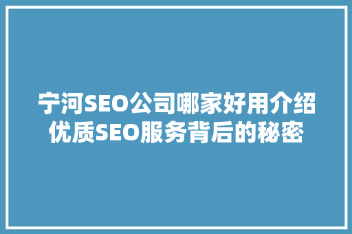 宁河SEO公司哪家好用介绍优质SEO服务背后的秘密