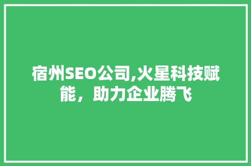 宿州SEO公司,火星科技赋能，助力企业腾飞
