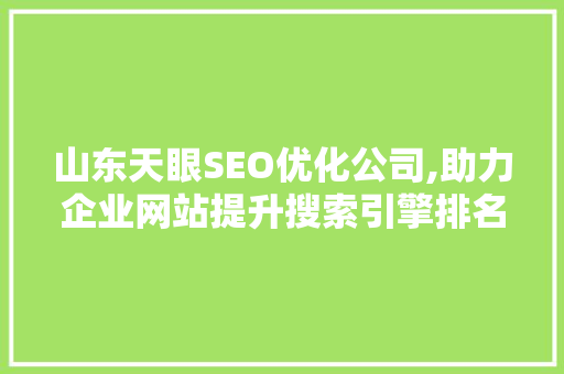 山东天眼SEO优化公司,助力企业网站提升搜索引擎排名，打造网络品牌新高度
