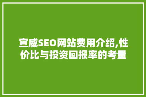 宣威SEO网站费用介绍,性价比与投资回报率的考量