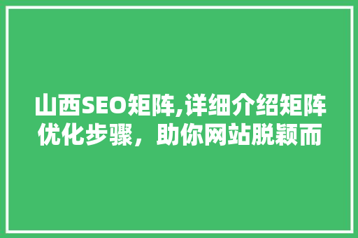 山西SEO矩阵,详细介绍矩阵优化步骤，助你网站脱颖而出