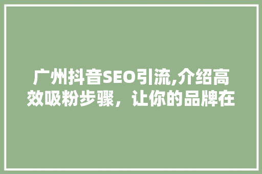 广州抖音SEO引流,介绍高效吸粉步骤，让你的品牌在抖音上熠熠生辉