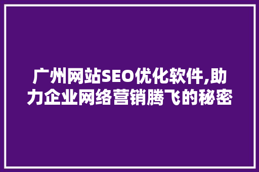广州网站SEO优化软件,助力企业网络营销腾飞的秘密武器