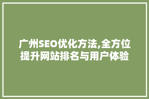 广州SEO优化方法,全方位提升网站排名与用户体验