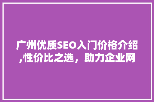 广州优质SEO入门价格介绍,性价比之选，助力企业网络营销腾飞