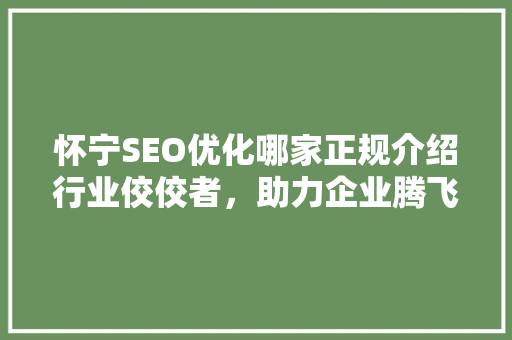 怀宁SEO优化哪家正规介绍行业佼佼者，助力企业腾飞