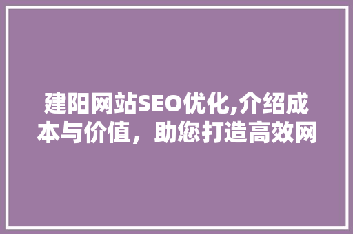 建阳网站SEO优化,介绍成本与价值，助您打造高效网络平台
